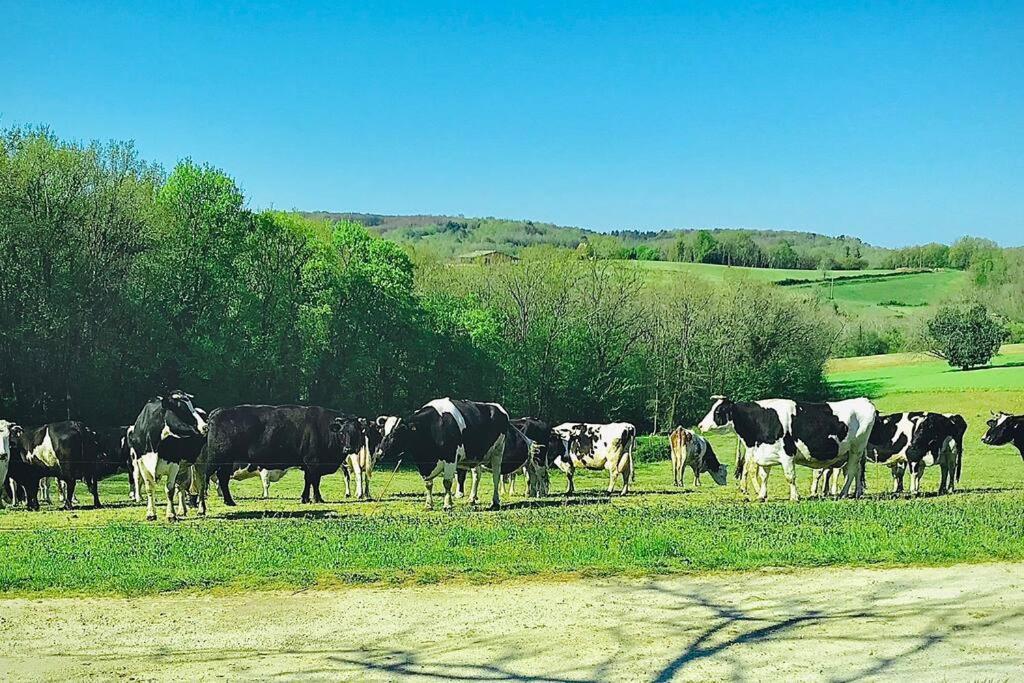 « Le Vieux Hangar » Gite A La Ferme Le Buisson-de-Cadouin Esterno foto